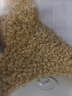 硃碌科 有机燕麦米麦仁米3斤装 富含蛋白杂粮米粗粮早餐粥米伴侣年货节 实拍图
