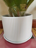陶瓷花盆绿植盆栽亚光北欧风简约花盆大号桌面绿植盆送塑料托盘 白色 特大号（20*20*16） 实拍图
