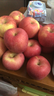 京鲜生 陕西洛川红富士苹果 净重8斤 单果200g 生鲜水果 实拍图