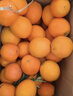 京鲜生 冰糖橙/橙子 5斤装 单果130g-170g 生鲜水果年货礼盒 实拍图