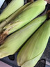 顾果鲜广西白糯牛奶玉米9斤新鲜现摘黏粘棒子带皮生苞米甜嫩农家自种 5斤 实拍图