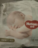 好奇（Huggies）小森林纸尿裤L40片(9-14kg)尿不湿心钻【透氧顶配更低敏】 实拍图