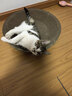 疯狂的主人猫抓板窝碗形大号猫抓盆不掉屑猫窝宠物猫玩具瓦楞纸猫爪板 实拍图