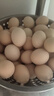 京鲜生可生食标准鲜鸡蛋30枚礼盒装3斤 源头直发 实拍图