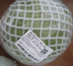 绿甘蓝约1kg 实拍图