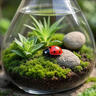 孙凯（SUNKAI）鲜活苔藓青苔藓 微景观植物盆景生态瓶diy绿植水陆缸假山盆栽盆景 实拍图