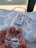 青苹果白酒杯分酒器套装 加厚玻璃一口杯品鉴小酒杯烈酒杯二两杯分酒壶 实拍图