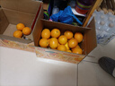 京鲜生 赣南脐橙红黄双拼 10斤 单果180g起  好事橙双水果橙子年货礼盒 实拍图