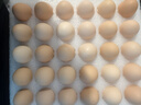 京鲜生 无抗保洁鲜鸡蛋30枚/盒 健康轻食 礼盒送礼 1.5kg/盒 源头直发 实拍图