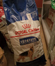 皇家狗粮 成犬狗粮 犬粮 宠物大型犬 GR26全价犬粮≥15月15KG 实拍图