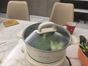 九阳（Joyoung）电煮锅电热锅小电锅宿舍电炒锅学生寝室2.5L泡面电火锅多功能锅【蒸笼款】HG25-G211S 实拍图