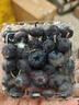 佳沃（JOYVIO）甜蜜花香云南蓝莓 18mm+4盒装约125g/盒 年货水果 源头直发 实拍图