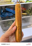 夫宇 淀粉肠约85g*20根 香煎火腿肠 黄金脆皮烤肠 油炸烧烤摆摊食材 实拍图