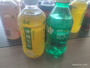 康师傅 冰红茶330ml*12瓶 柠檬红茶饮料饮品轻巧装整箱 热门商品 实拍图