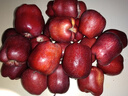 京鲜生 甘肃天水花牛苹果 又大又红 净重10斤 单果200g以上 新鲜水果  实拍图
