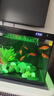 森森金麟超白玻璃鱼缸一体缸自循小型懒人家用水族箱LE-380 实拍图
