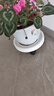 钢化树脂移动托盘花盘塑料底座万向轮花盆底托滚轮接水盘底盘 米白 260#内径23.3cm 实拍图