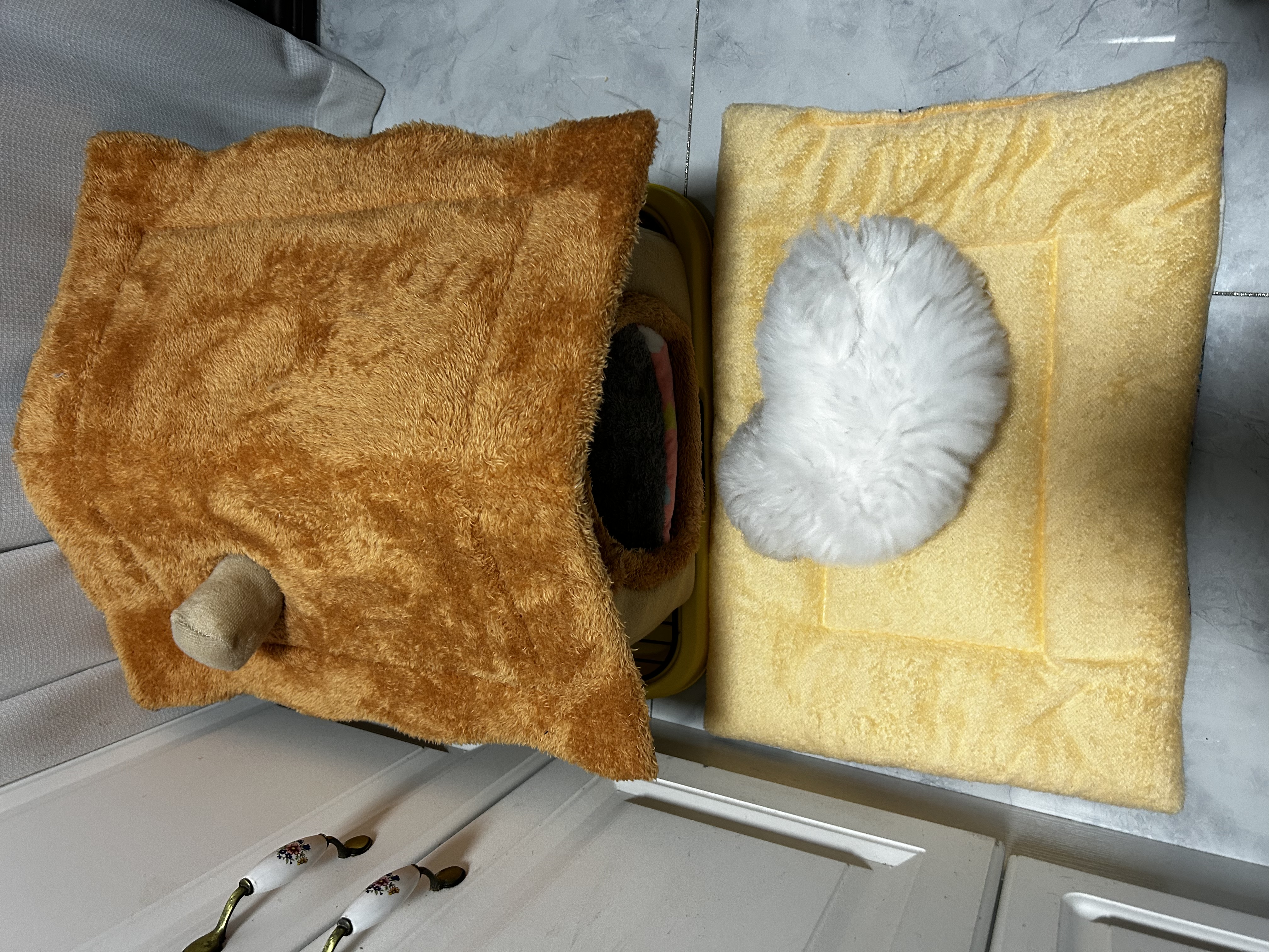【限时促销】卡通宠物垫子猫咪狗狗被子加厚盖毯冬季保暖猫窝狗窝 随机款 2号35*50（适合5斤） 实拍图