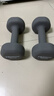 PROIRON普力艾 浸塑哑铃男士健身家用器械纯铁环保无味5kg*2 实拍图