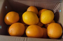 玖原农珍 赣南脐橙新鲜橙子含箱10斤净重9斤优选果150-300g 年货水果礼盒 实拍图