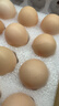 京鲜生【每日鲜蛋】无抗谷物鸡蛋30枚 3.18斤 当日产蛋 当日发货 实拍图