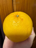 京鲜生 爆汁黄金葡萄柚 净重5斤 单果300g起 生鲜年货水果    实拍图