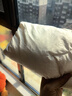 京东洗衣服务 衣鞋任洗3件 上门取送 去渍整形 价值2000元内衣服鞋子 实拍图