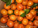 京鲜生 砂糖橘/沙糖桔 净重8斤精品果 生鲜水果年货礼盒 实拍图