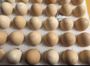 京鲜生富硒鲜鸡蛋30枚 3斤 源头直发 实拍图