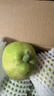 京鲜生 新疆库尔勒香梨 净重10斤 特级 单果120g以上 生鲜水果 实拍图
