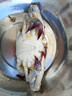 舟山梭子蟹鲜活特大野生大螃蟹新鲜冷冻海鲜水产海蟹飞蟹白蟹顺丰 9两以上/只【5斤净重 超大肥美】 实拍图