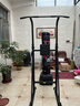 京东京造 单杠家用引体向上器 室内落地成人健身多功能综合训练器 豪华款 实拍图