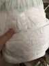 babycare金山茶花婴儿纸尿裤mini装L20片(9-14kg)尿不湿透气【新老混发】 实拍图