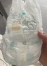 帮宝适（Pampers）清新透气 清新帮 XL84片【清新帮拉拉裤】 实拍图