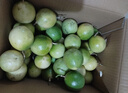 京地达广西钦蜜9号黄金百香果 净重5斤单果60-70g/35-42个 源头直发包邮 实拍图