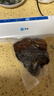 佳帮手真空封口机保鲜袋包装机抽真空袋子加厚网纹塑封袋食物真空保鲜袋20*30cm 实拍图