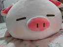 名创优品（MINISO）小猪B-BO弹力超柔趴姿毛绒公仔玩偶抱靠枕玩具情人节礼物新年礼物 实拍图
