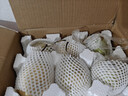 梨乡水城河北水晶精品鸭梨魏县鸭梨青皮白皮混发 精品大果带箱  5斤 实拍图