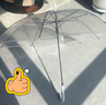 ins森系长柄半自动透明伞360度全景透明雨伞男女网红生折叠简约 小号半自动透明伞 8骨 实拍图