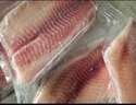 翔泰 海南鲷鱼/罗非鱼排2斤5-7片 去皮去刺 轻食鱼片 火锅鱼类   实拍图