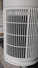 美的（Midea）家用宠物空气净化器 吸猫毛除过敏源猫猫搭子猫毛净化器杀菌消毒除猫狗异味小怪兽PET500 实拍图
