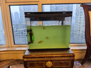 仟湖鱼缸杀菌灯迷你UV紫外线消毒灯除藻去绿水5w灭菌灯水族净水专用 实拍图
