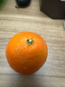 京鲜生 四川爱媛38号果冻橙 净重5斤 单果130g起 生鲜水果柑橘年货礼盒 实拍图