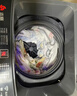 志高（CHIGO）全自动洗衣机 波轮宿舍迷你小型家用 洗烘一体 智能洗脱一体机 大容量 风干 波轮 10KG 店长推荐 智能风干 强力去污 实拍图