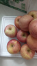 京鲜生 陕西洛川红富士苹果 净重8斤 单果200g 生鲜水果 实拍图