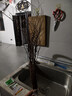 雪柳干枝鲜枝水养插花水培植物鲜花卉室内盆栽带花苞绿植龙柳好活 当天现切雪柳鲜枝60-70cm左右6枝+送营养液 实拍图