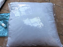 艾薇抱枕家纺 高弹沙发抱枕芯 汽车方垫芯 办公室靠垫芯45*45cm单只装 实拍图