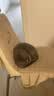 instinct天然百利罐头进口零食猫粮奖励品宠物猫用品 经典无谷 鸡肉猫罐头 156g*12罐 实拍图