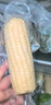 十月稻田 白糯玉米 8根 4.16斤 东北甜粘玉米 非转基因 低脂早餐 实拍图