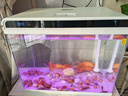 森森 超白玻璃智能桌面鱼缸一体缸自循环HE-480 实拍图